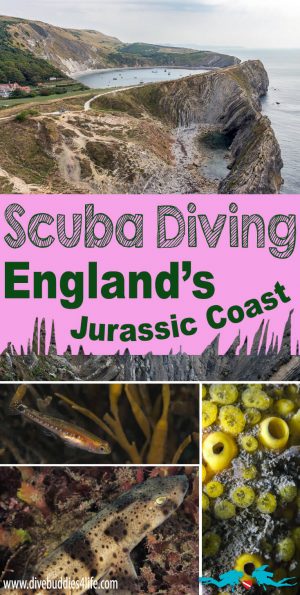 Scuba Diving England's Jurassic Coast Pinterest