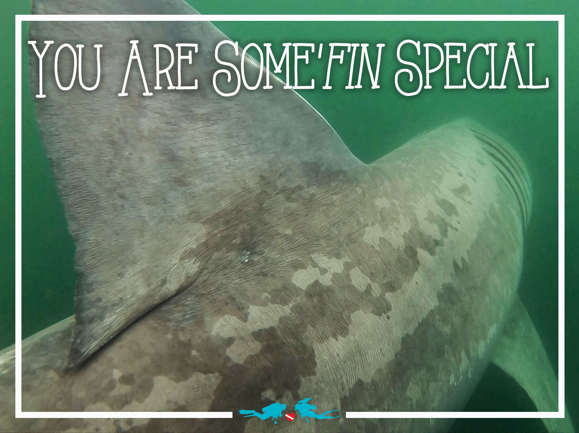Shark Fin For Valentine's Day Scuba Diving Quote
