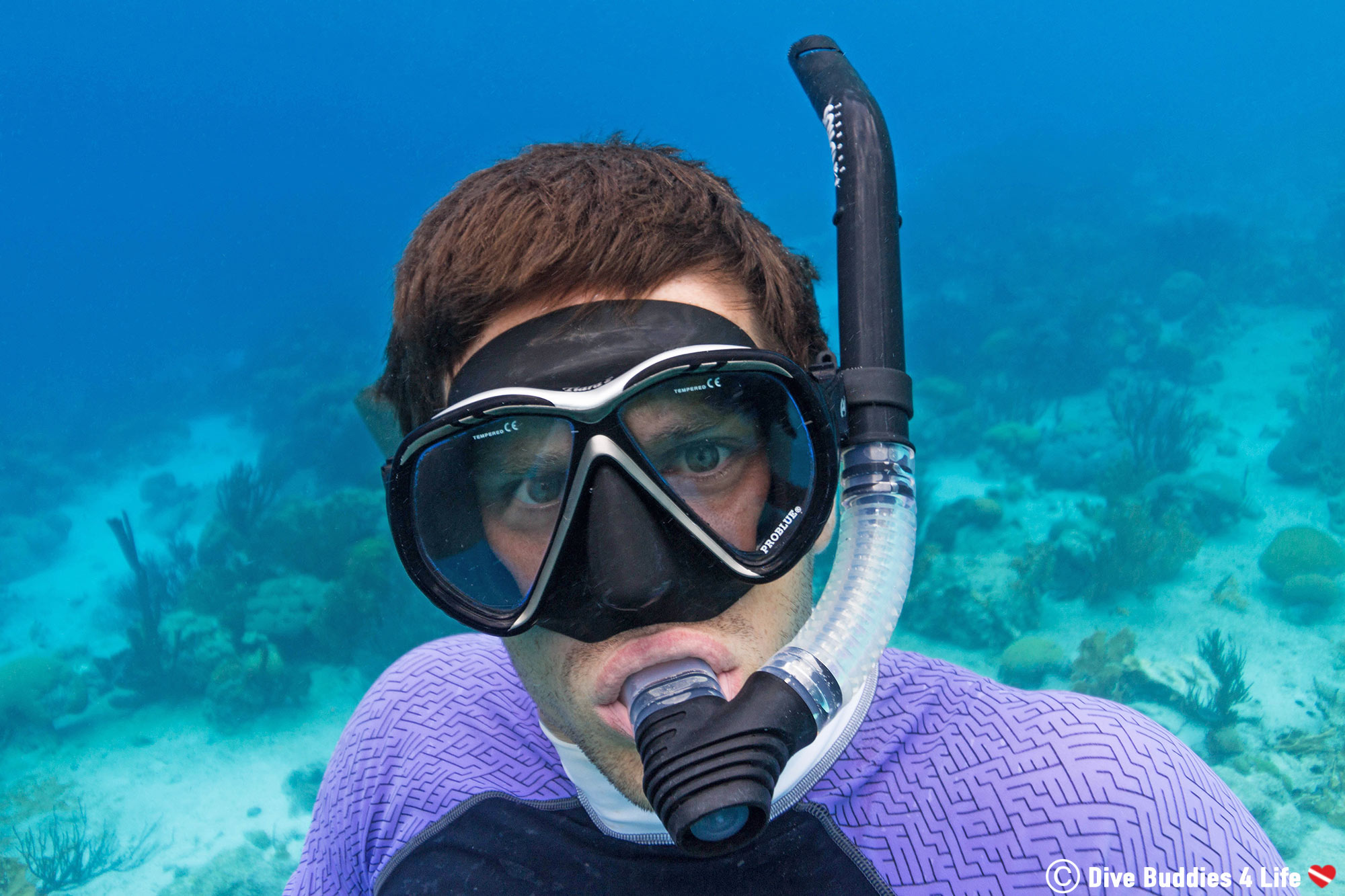 Snorkeling Joey In The Clear Water Of Bonaire, Dutch Caribbean