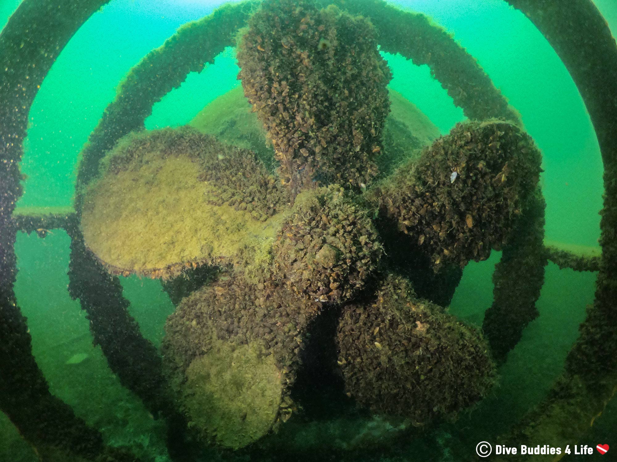 Stoney Cove Nemo Submarine Propellor, England, Europe