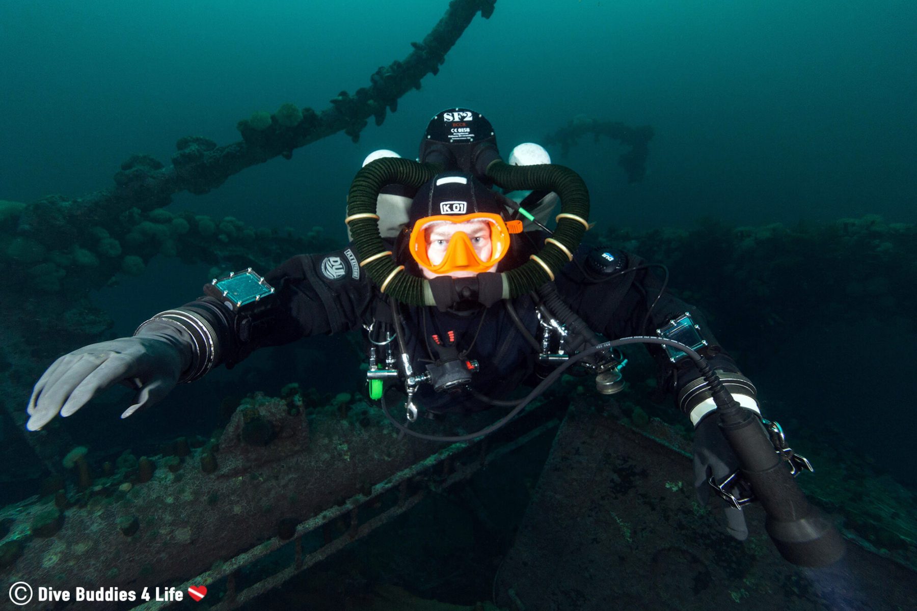 A Look at PADI, SEI, NAUI and SSI Dive Buddies 4 Life