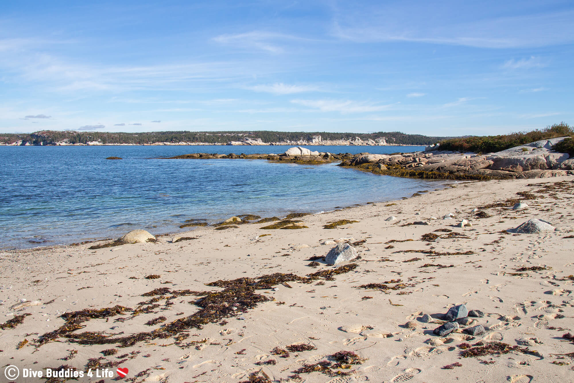 5 Shore Diving Sites Around Halifax Dive Buddies for Life