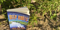 The Beach And The Green Plants With The Deep Roots Belize Diving Novel By Nick Sullivan