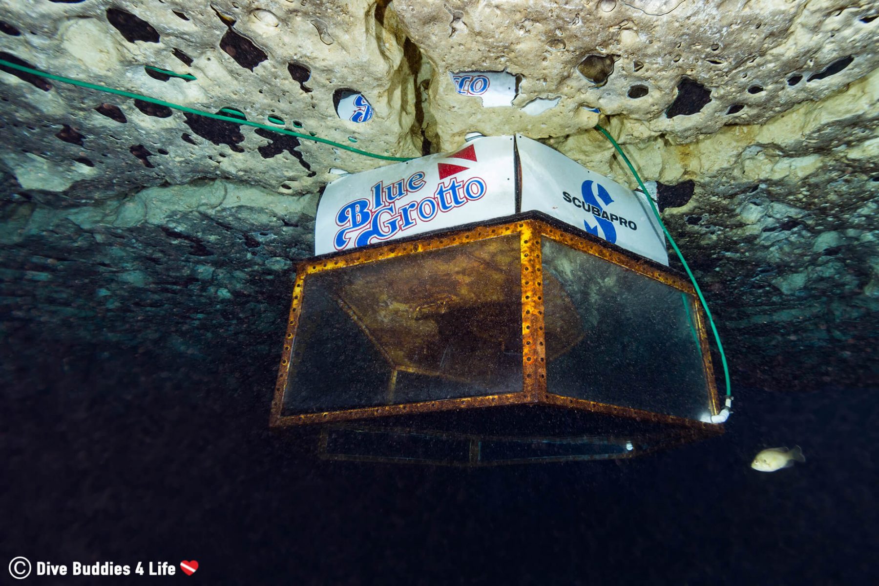 Diving Florida's Blue Grotto Cavern Dive Buddies 4 Life