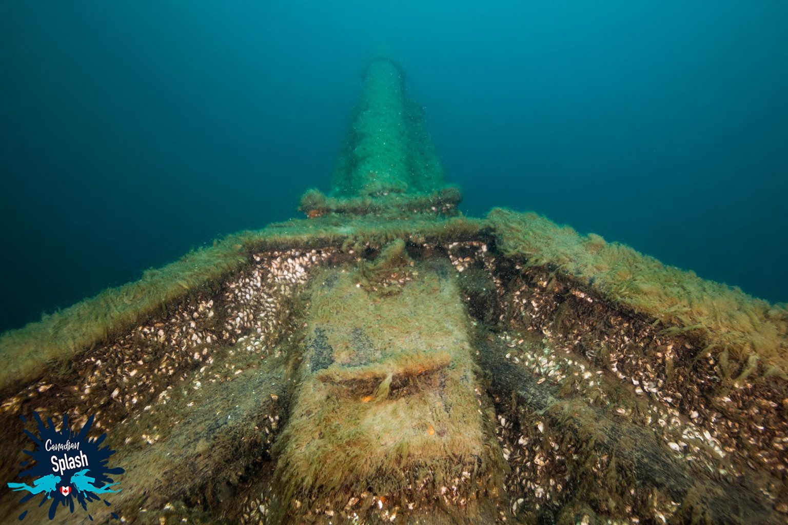 Canadian Splash Scuba Diving in Tobermory Dive Buddies 4 Life