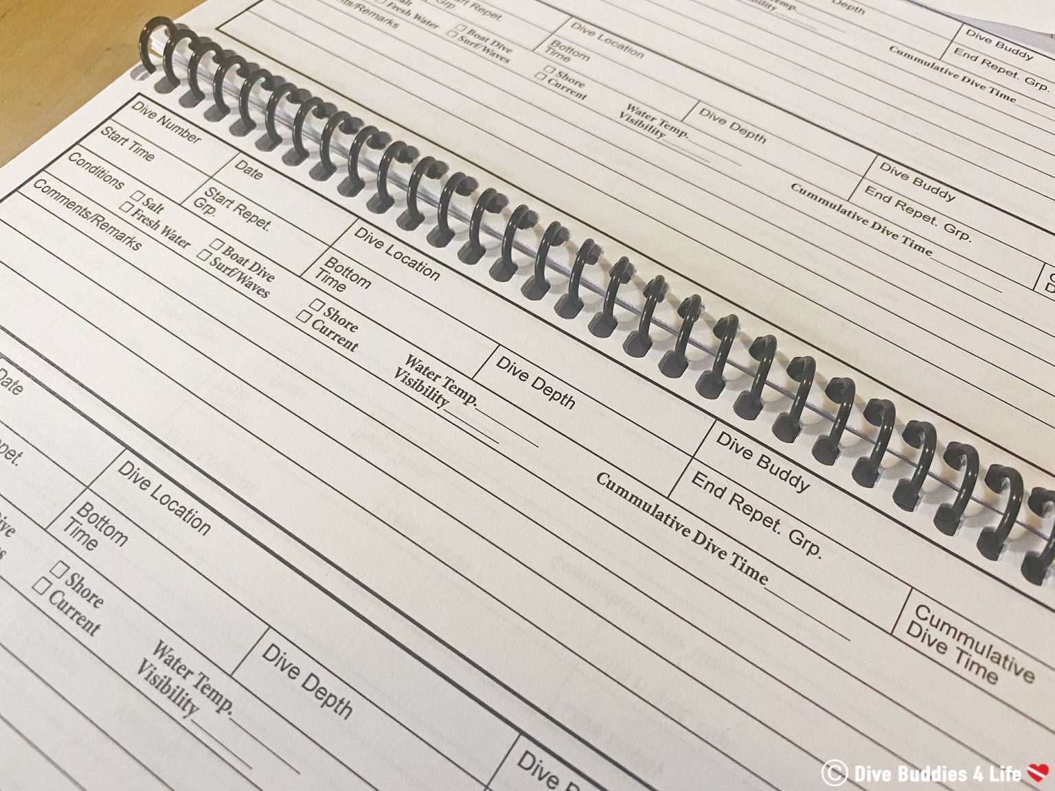 Why you Should Have a Dive Log Dive Buddies 4 Life