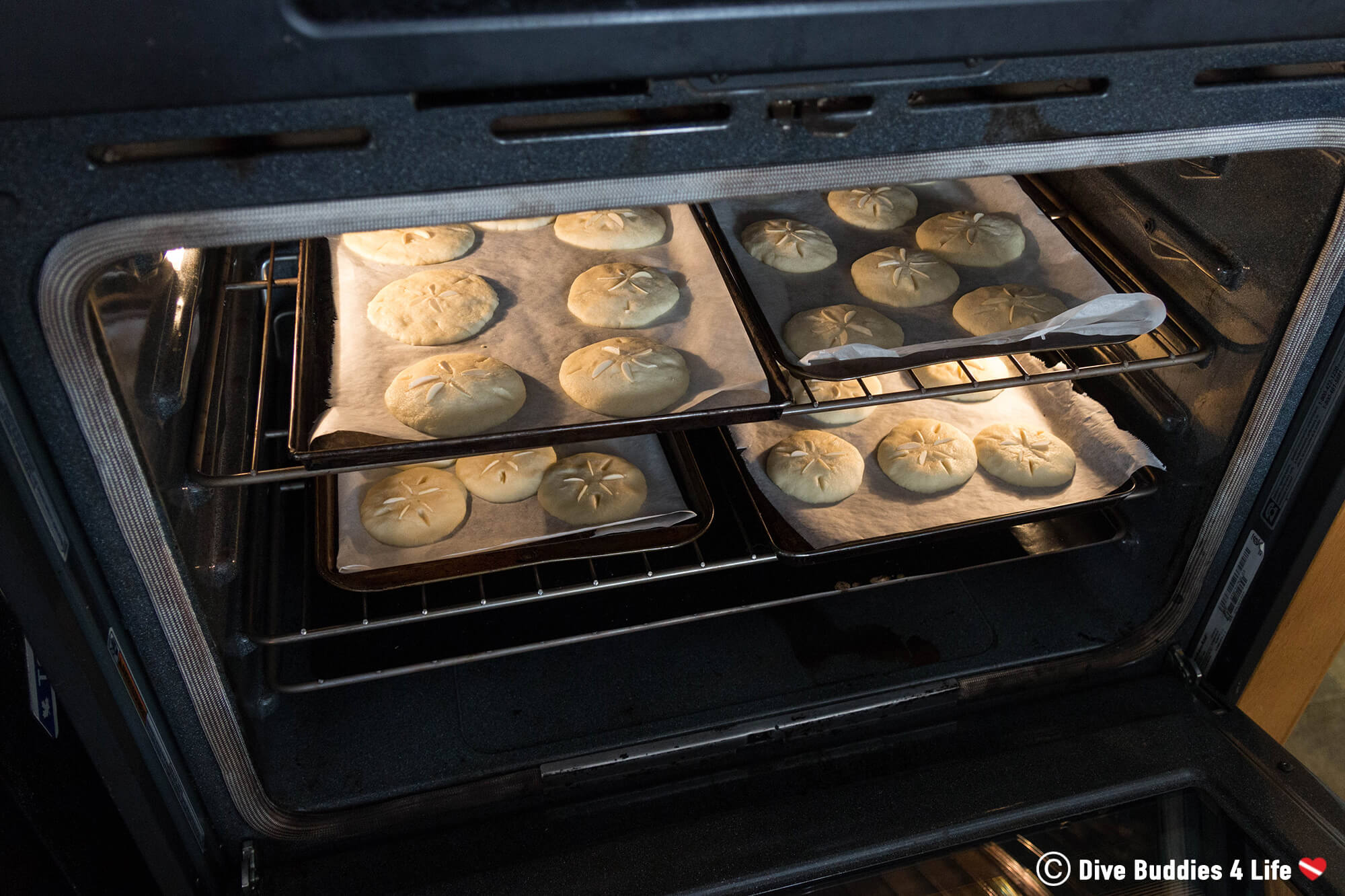 The Oven Filled With Trays Of Scuba Diving Sand Dollar Cookies For Christmas