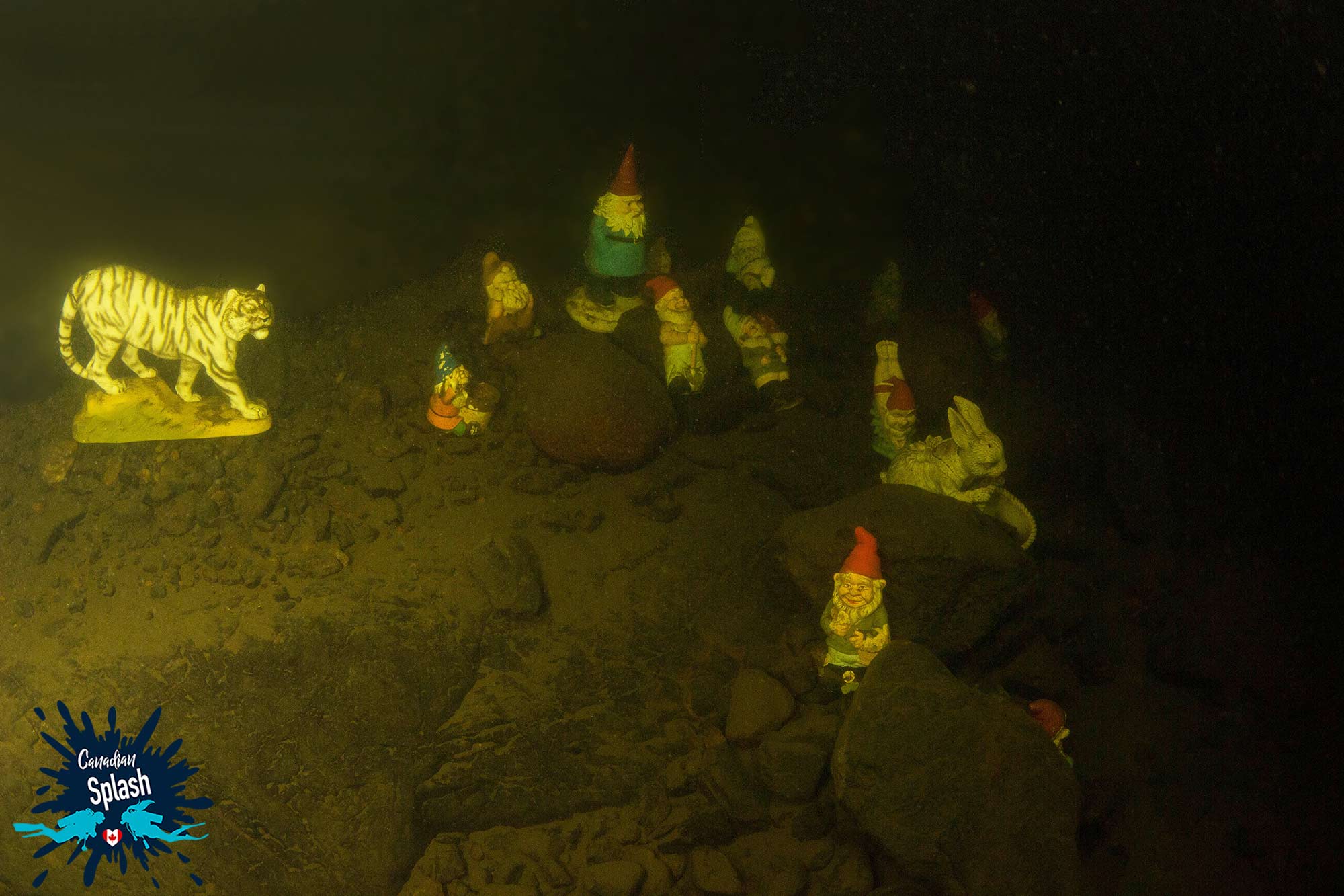 Tiger And Gnomes Statues Resting On The Rocky Bottom Of Manitoba's Meteor Impact Lake, West Hawk, Canada