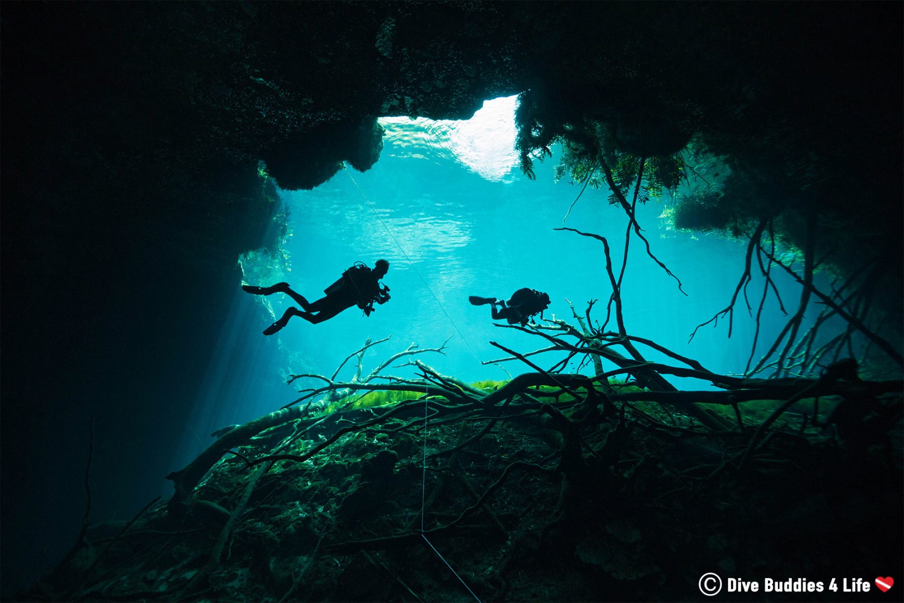 Safety Stops and their Importance in Diving Dive Buddies 4 Life