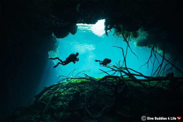 Safety Stops and their Importance in Diving | Dive Buddies 4 Life