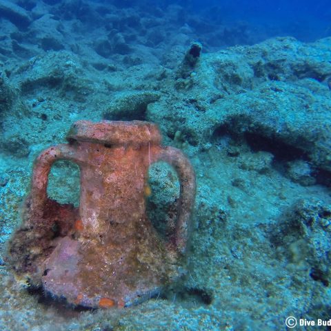 Vase Underwater In Dubrovnik Croatia