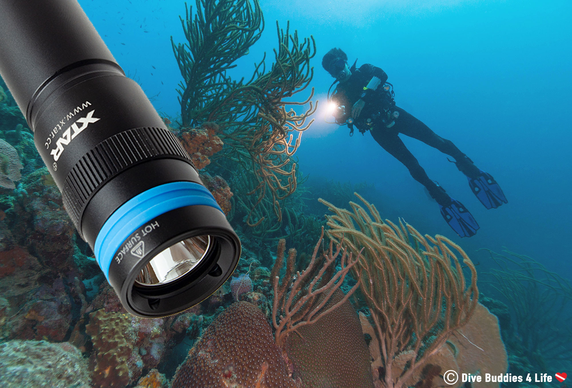 Xtar Dive Light On A Coral Reef